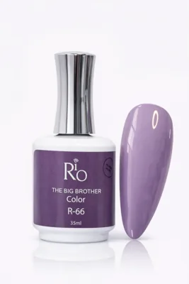 ביג ברדר ג'ל לק R66